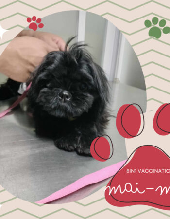 Pawsitively Pet Care Animal Clinic