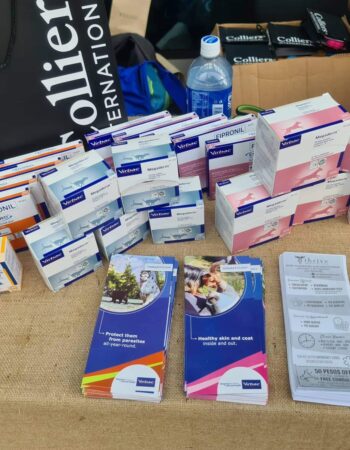 Thrive Animal Specialist and Grooming Hub