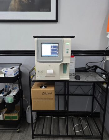 Thrive Animal Specialist and Grooming Hub