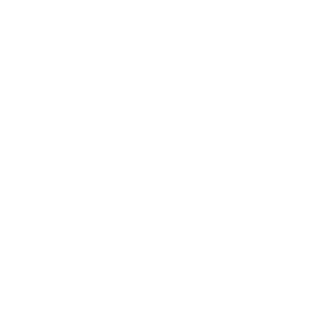 cat-icon