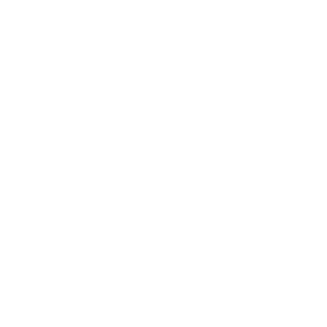 cat-icon