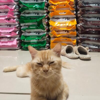 Pet Furrpose 