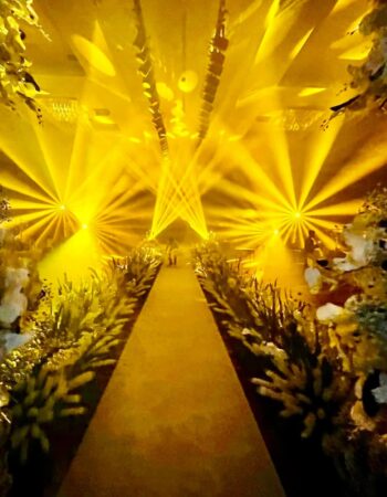 Country Blossoms by Bernard Dalusung