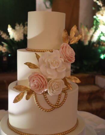 Events and Concepts by Voltaire Zalamea