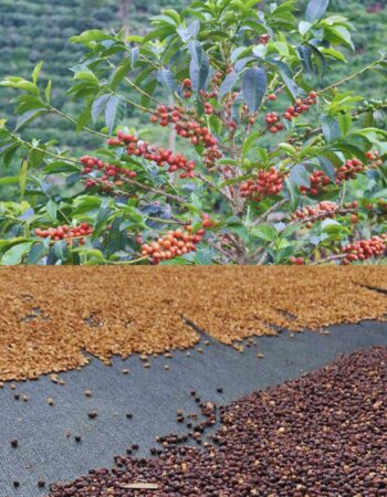 Hometown Cafe – Subic Bay